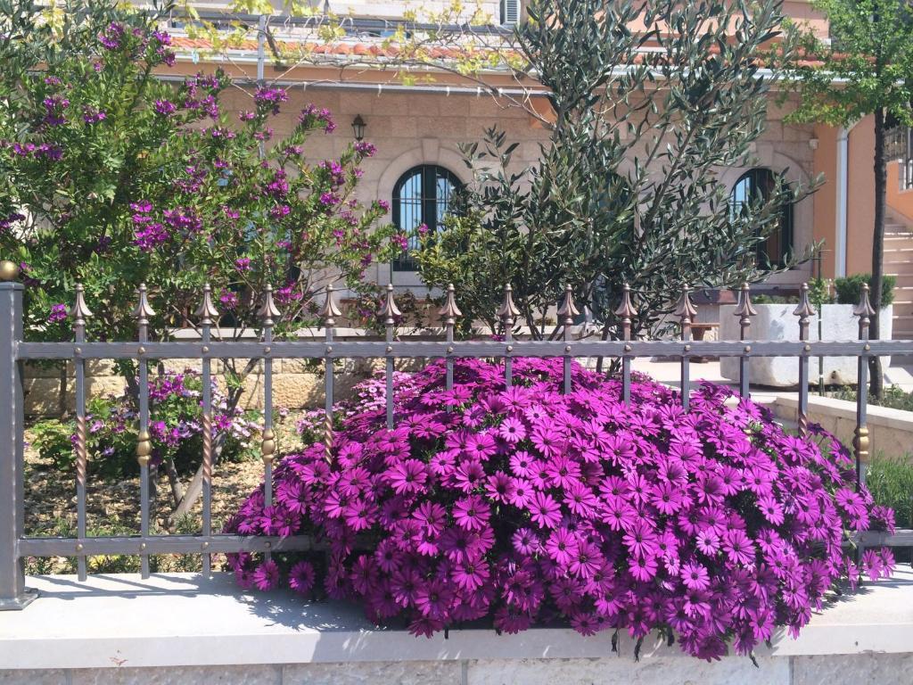 Marija Apartment Podgora